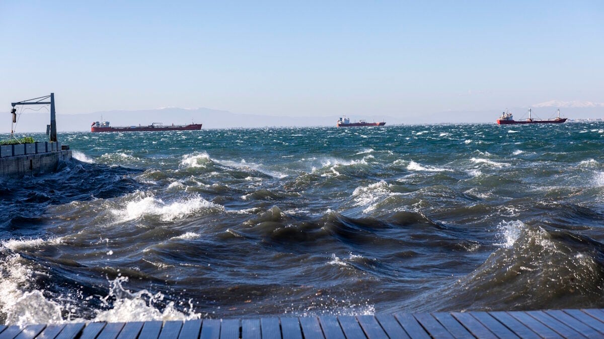 Καιρός: Μελτέμι πάνω από 110 χιλιόμετρα την ώρα σε Αττική και Εύβοια – Χάρτης ριπών στη χώρα 2 Καιρός: Μελτέμι πάνω από 110 χιλιόμετρα την ώρα σε Αττική και Εύβοια – Χάρτης ριπών στη χώρα