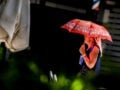 Μέτρα του δήμου Αθηναίων για τον καύσωνα: Κλιματιζόμενες αίθουσες, φροντίδα για τα αδέσποτα ζώα