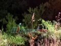 Τροχαίο δυστύχημα στην Αχαία: Νεκρή 46χρονη που έπεσε σε γκρεμό