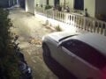 Φρίκη στην Κέρκυρα: Οδηγός αυτοκινήτου πατάει και σκοτώνει σκύλο που κοιμόταν – Πολύ σκληρό βίντεο