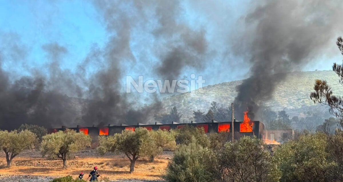 Φωτιά στον Κουβαρά: Καταστράφηκε ολοσχερώς η κτηνοτροφική μονάδα – Βίντεο από drone δείχνει το μέγεθος των ζημιών 8 Φωτιά στον Κουβαρά: Καταστράφηκε ολοσχερώς η κτηνοτροφική μονάδα – Βίντεο από drone δείχνει το μέγεθος των ζημιών