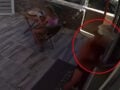 Κρήτη: Τουρίστας ρωτούσε πόσο να πληρώσει για να ασελγήσει σε 10χρονο κορίτσι σε αυλή επιχείρησης