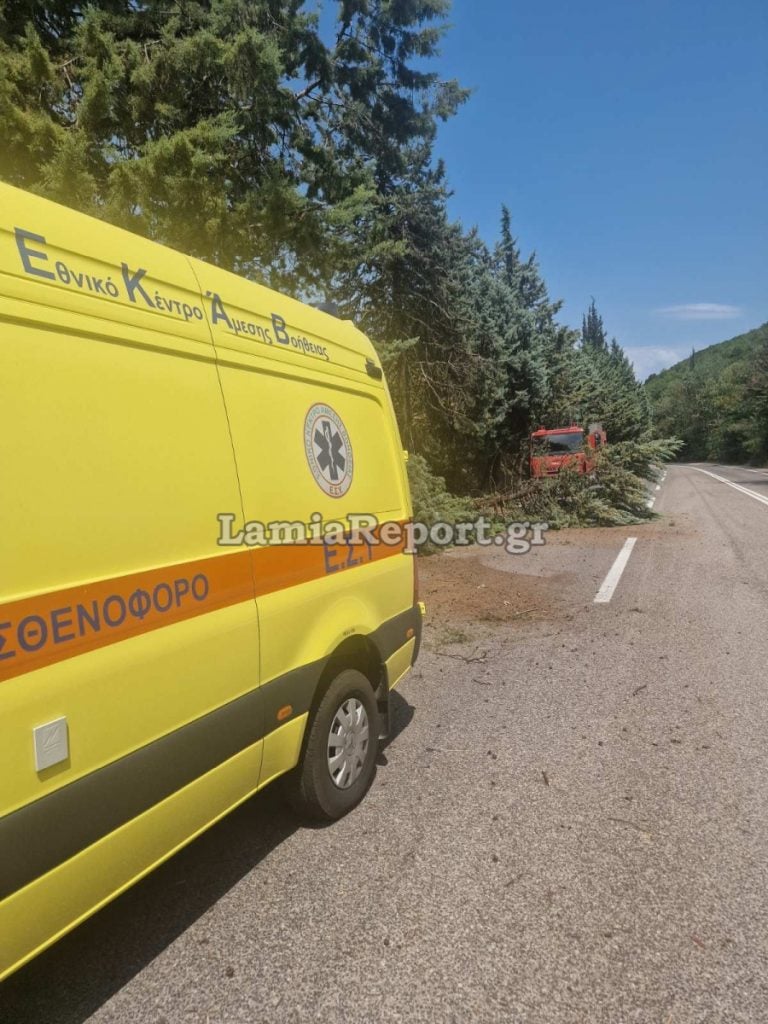 Τροχαίο στον δρόμο προς Μπράλο: Αγροτικό βγήκε από την πορεία του και κατέβασε δύο δέντρα 11 Τροχαίο στον Μπράλο