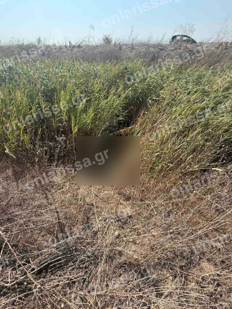 Λάρισα: Νεκρή εντοπίστηκε η 72χρονη που είχε χαθεί από τις 3 Αυγούστου σε χωράφι κοντά στο σπίτι της 10 Λάρισα: Νεκρή εντοπίστηκε η 72χρονη που είχε χαθεί από τις 3 Αυγούστου σε χωράφι κοντά στο σπίτι της