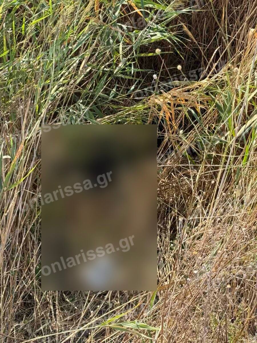 Λάρισα: Νεκρή εντοπίστηκε η 72χρονη που είχε χαθεί από τις 3 Αυγούστου σε χωράφι κοντά στο σπίτι της 11 Λάρισα: Νεκρή εντοπίστηκε η 72χρονη που είχε χαθεί από τις 3 Αυγούστου σε χωράφι κοντά στο σπίτι της