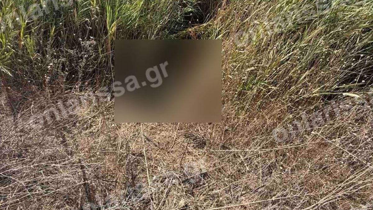 Λάρισα: Νεκρή εντοπίστηκε η 72χρονη που είχε χαθεί από τις 3 Αυγούστου σε χωράφι κοντά στο σπίτι της