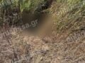 Λάρισα: Νεκρή εντοπίστηκε η 72χρονη που είχε χαθεί από τις 3 Αυγούστου σε χωράφι κοντά στο σπίτι της