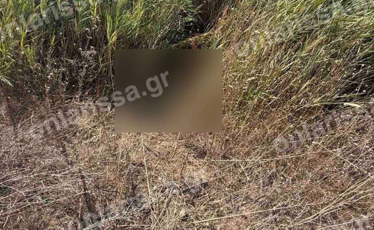 Λάρισα: Νεκρή εντοπίστηκε η 72χρονη που είχε χαθεί από τις 3 Αυγούστου σε χωράφι κοντά στο σπίτι της