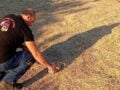Λήμνος: Πυροσβέστης έδωσε νερό σε μικρό σκαντζόχοιρο μέσα στα αποκαΐδια