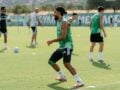 Παναθηναϊκός: Video με την πρώτη προπόνηση του Ιμράν Λούζα