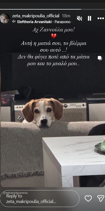 Ζέτα Μακρυπούλια: Για τη σκυλίτσα που είχε με τον Χατζηγιάννη «Δεν θα φύγει ποτέ από το μυαλό μου» 10 Μακρυπούλια-σκύλος