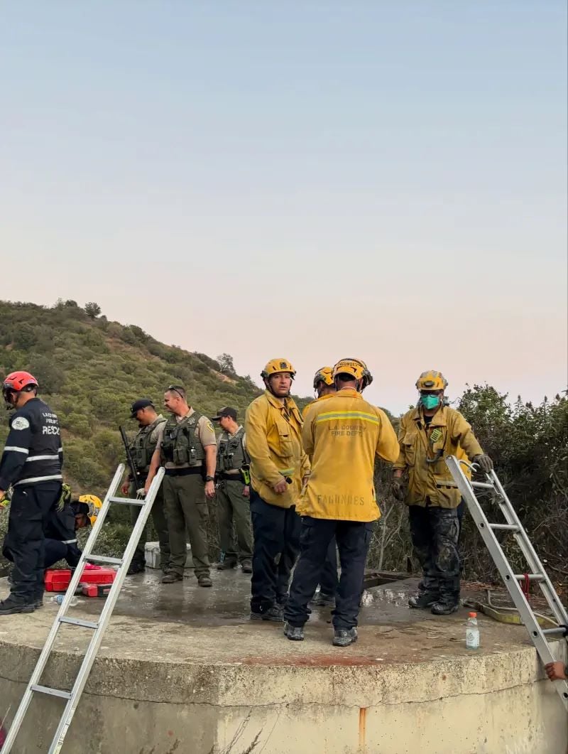 Αρκούδα και τα 3 μικρά της παγιδεύτηκαν σε δεξαμενή στην Καλιφόρνια – Έκοψαν το τσιμέντο για να τις σώσουν 7 Αρκούδα και τα 3 μικρά της παγιδεύτηκαν σε δεξαμενή στην Καλιφόρνια – Έκοψαν το τσιμέντο για να τις σώσουν