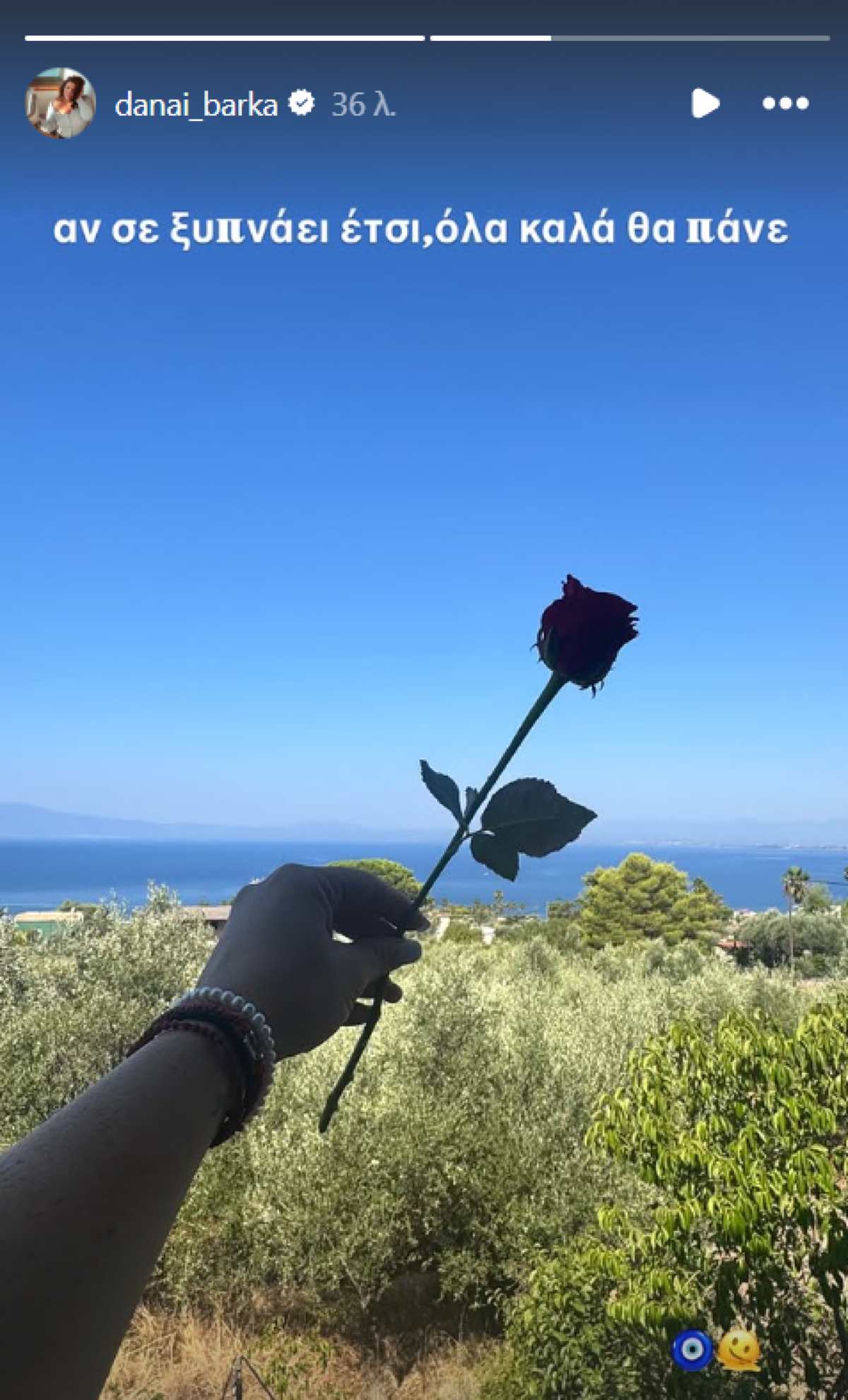 Δανάη Μπάρκα: Ξύπνησε και την περίμενε η πιο όμορφη έκπληξη από τον σύζυγό της – «Αν σε ξυπνάει έτσι…» (Φωτογραφία) 11 Ανάρτηση Δανάης Μπάρκα