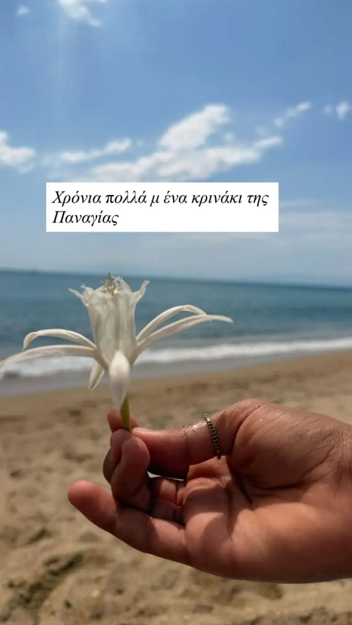Νάνσυ Ζαμπέτογλου: Το πρόσωπό της χωρίς φίλτρα και μακιγιάζ – φωτογραφία 10 Η φωτογραφία της Νάνσυς Ζαμπέτογλου
