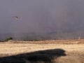 Νεβάδα: Σχεδόν 90.000 άνθρωποι εκκενώνουν τα σπίτια τους λόγω πυρκαγιάς