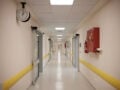 Ιός του Δυτικού Νείλου: Ένα 13χρονο παιδί ο μικρότερος σε ηλικία ασθενής στην Ελλάδα – Στην ανατολική Αττική τα περισσότερα κρούσματα