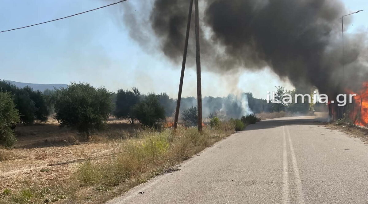 Λαμία: Φορτηγό πήρε φωτιά στη μέση της Εθνικής Οδού – Κάηκε ολοσχερώς