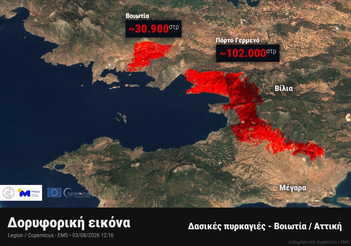 Φωτιά στη Δυτική Αττική: Δύσκολη νύχτα στα πύρινα μέτωπα – Στοίχημα των πυροσβεστών τα καντηλάκια 9 Φωτιά στη Δυτική Αττική: Δύσκολη νύχτα στα πύρινα μέτωπα – Στοίχημα των πυροσβεστών τα καντηλάκια