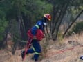 Φωτιά στη Βοιωτία: Στο νοσοκομείο δύο πυροσβέστες που επιχειρούσαν στα πύρινα μέτωπα