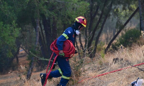 Φωτιά στη Βοιωτία: Στο νοσοκομείο δύο πυροσβέστες που επιχειρούσαν στα πύρινα μέτωπα