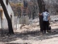 Φωτιά στο Πόρτο Γερμενό: «Αυτό το δάσος δεν θα ζήσουμε να το ξαναδούμε» – Επιστροφή πυρόπληκτων