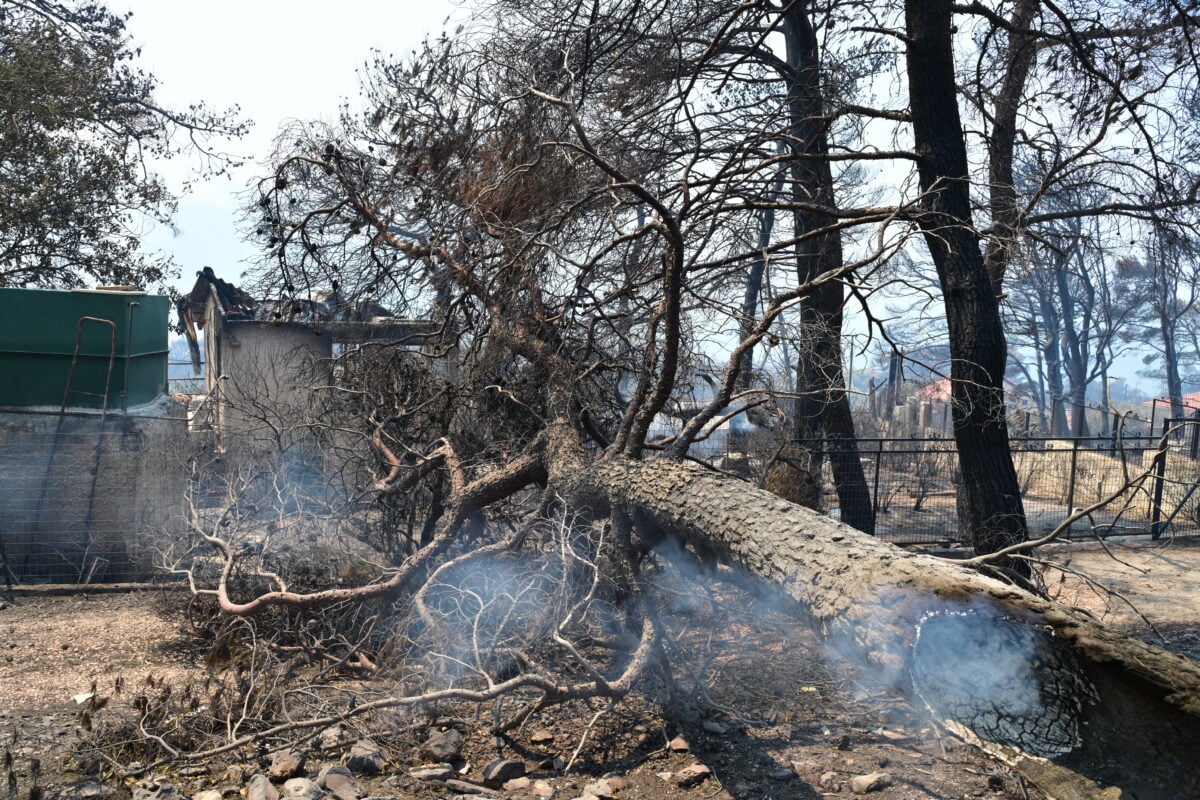 Πόρτο Γερμενό: Εικόνες αποκαλύπτουν το μέγεθος της καταστροφής από τη φωτιά
