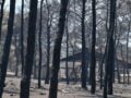 Πόρτο Γερμενό: Αποκαρδιωτικές εικόνες αποκαλύπτουν το μέγεθος της καταστροφής από τη φωτιά
