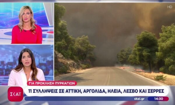 11 συλλήψεις σε Αττική, Αργολίδα, Ηλεία, Λέσβο και Σέρρες για πρόκληση πυρκαγιών