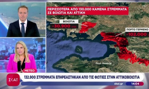 132.900 στρέμματα επηρεάστηκαν από τις φωτιές στην Αττικοβοιωτία