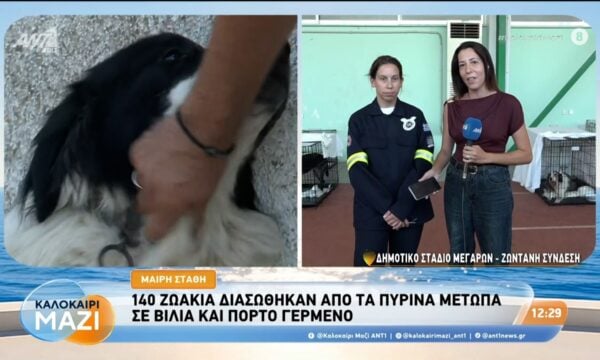 140 ζωάκια διασώθηκαν από τα πύρινα μέτωπα σε Βίλια και Πόρτο Γερμενό – Καλοκαίρι Μαζί – 04/08/2026