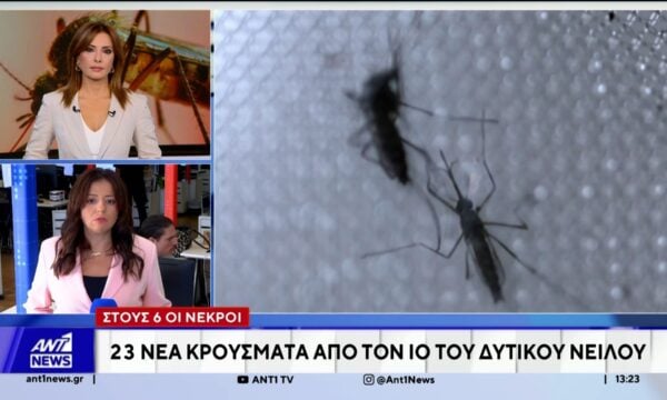 23 νέα κρούσματα του ιού του Δυτικού Νείλου καταγράφηκαν στην χώρα μας την τελευταία εβδομάδα