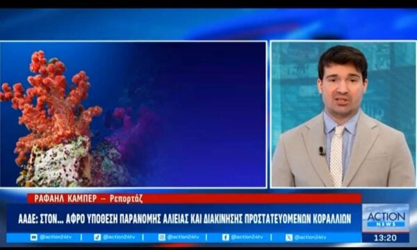 ΑΑΔΕ: Στον… αφρό υπόθεση παράνομης αλιείας και διακίνησης προστατευόμενων ειδών