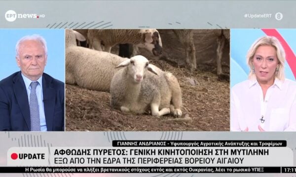 Αφθώδης πυρετός: Γενική κινητοποίηση στη Μυτιλήνη – Έξω από την έδρα της περιφέρειας Βόρειου Αιγαίου