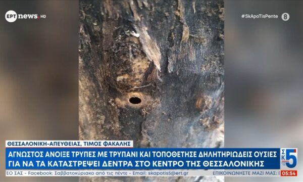 Άγνωστος άνοιξε τρύπες με τρυπάνι και τοποθέτησε δηλητηριώδεις ουσίες για να καταστρέψει δέντρα στο κέντρο της Θεσσαλονίκης