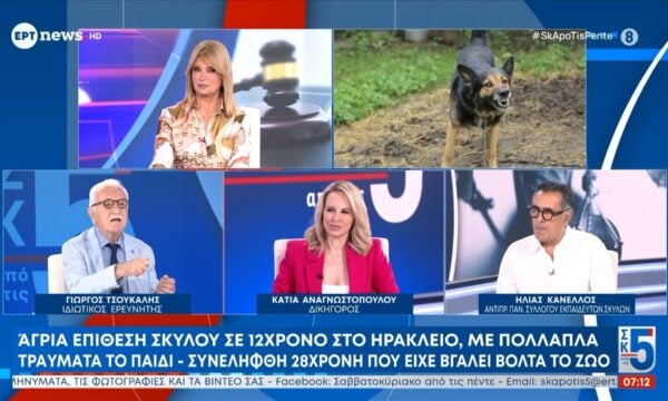 Άγρια επίθεση σε 12χρονο στο Ηράκλειο: Με πολλά τραύματα το παιδί – Συνελήφθη 28χρονη που είχε βγάλει βόλτα το ζώο