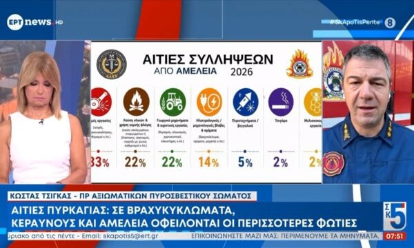 Αιτίες πυρκαγιάς: Σε βραχυκυκλώματα, κεραυνούς και αμέλεια οφείλονται οι περισσότερες φωτιές