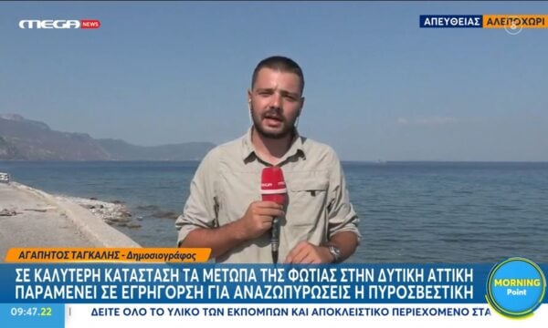 Αλεποχώρι: Σε καλύτερη κατάσταση τα μέτωπα της φωτιάς – Σε εγρήγορση για αναζωπυρώσεις η πυροσβεστική