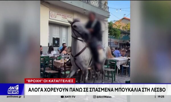 Άλογα χορεύουν πάνω σε σπασμένα μπουκάλια στη Λέσβο