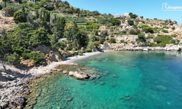 Άμπελος – Η παραδεισένια παραλία στη βορειανατολική Χίο όπου τα αμπέλια φτάνουν μέχρι τη θάλασσα