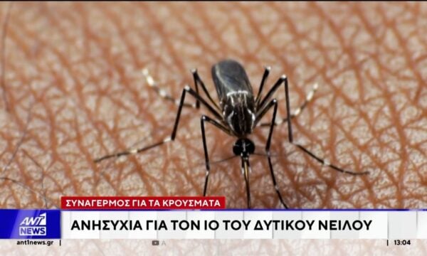 Ανησυχία για τον ιό του Δυτικού Νείλου – Στη ΜΕΘ ο Αντώνης Πανούτσος