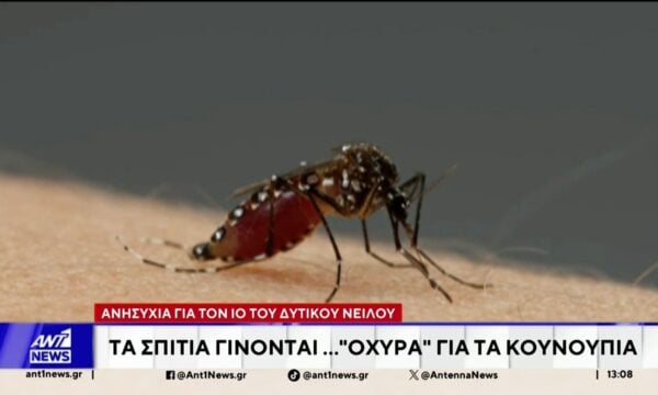 Ανησυχία για τον ιό του Δυτικού Νείλου: Τα σπίτια γίνονται…”οχυρά” για  τα κουνούπια