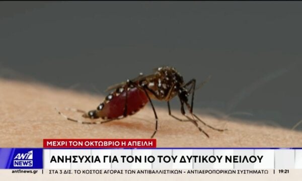 Ανησυχία για τον ιό του δυτικού Νείλου