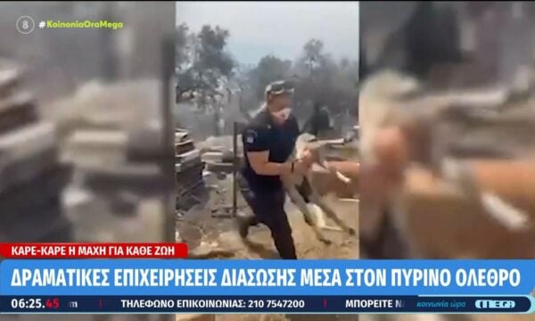 Άνθρωποι και ζώα στη μάχη της επιβίωσης – Συγκλονιστικές εικόνες διάσωσης