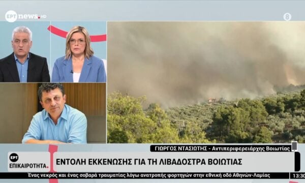 Αντιπεριφερειάρχης Βοιωτίας: Εντολή εκκένωσης για τη Λιβαδόστρα