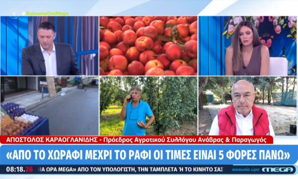 Απ. Καραογλανίδης: «Οι μεσάζοντες αυξάνουν τις τιμές στα οπωροκηπευτικά»