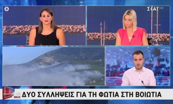 Από ταλάντωση σε δίκτυο ηλεκτρισμού η φωτιά στη Βοιωτία – 2 συλλήψεις