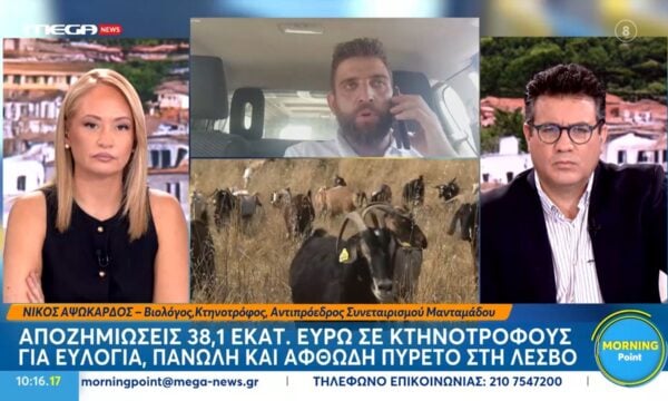 Αποζημιώσεις 38,1 εκατ. ευρώ σε κτηνοτρόφους για ευλογιά, πανώλη και αφθώδη πυρετό στη Λέσβο
