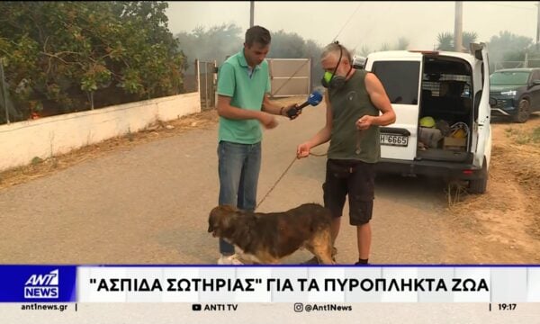 “Ασπίδα” σωτηρίας για τα πυρόπληκτα ζώα