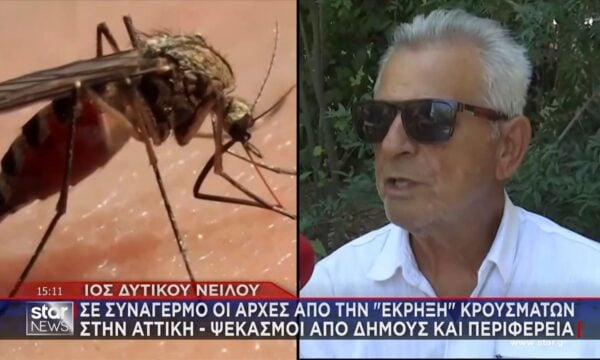 Αττική: 6 θανάτοι και 8 ασθενείς στη ΜΕΘ από τον ιό του Δυτικού Νείλου