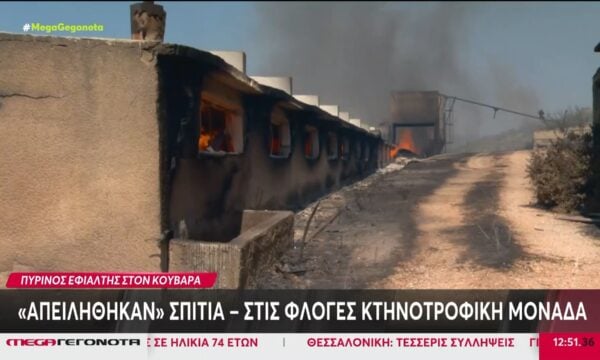Αττική – Ηλεία: Εκκενώθηκαν οικισμοί από τη μεγάλη φωτιά στον Κουβαρά – Βελτιωμένη η εικόνα στο Μουζάκι